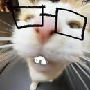 1202526004 FERNANDO RAMIREZ REYES