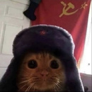 Pepe 