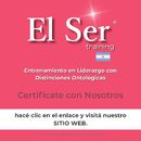 Gringo Santa Cruz