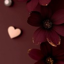 أ.كوثر الشكيلية (E)
