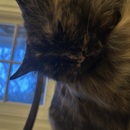 Katie 