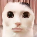 ikerrrrrrr 1.D urribarri 