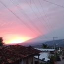 Arlet Dominguez