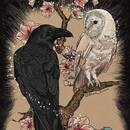 Dayanara Santillan
