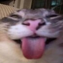 Serphe 