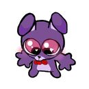 BONISITO_IwI 