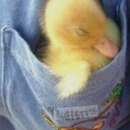 EIDER DIAZ FDEZ DE RETANA