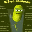 Numacatdelcolera Numa numa