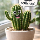جميلة وزوز