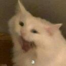 Lu 