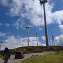 Gladys Ponce