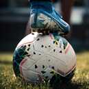 Alex Garcia may %