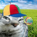 Kevin Gamez