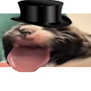Bob 