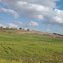 Abeer Alajarmah