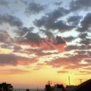 Liliana Salvador