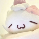 Liuruiying 