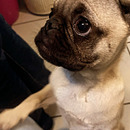 Mami De rocky
