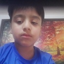 maryam amin