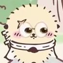 CAIO ANDERSON BENEVIDES RESENDE