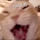 YUSUF ;D