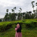 Padika Atma