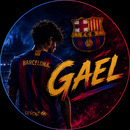 Gael Reyner Limachi Flores