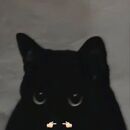 Haru 