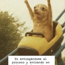 Vero 