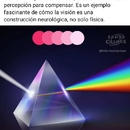 Alba Luz Espinoza Martínez