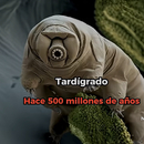 Leo Leo