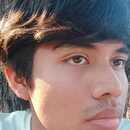BRANDON JOVANY RODRIGUEZ TELOMICO