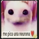 Santino Espeche