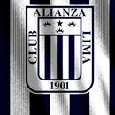 YOMAR BRAYAN BÀRCENA HUARACHA