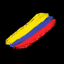 Grupo SST Migración Colombia
