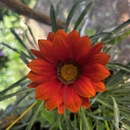 La naturaleza 