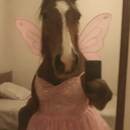 Arely Flores