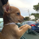 Eimy Stefany Carolina Tenorio Rodríguez
