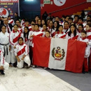 Aldahir Mathias Curilla Chávez