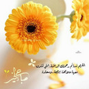 محمد فوزي مطير