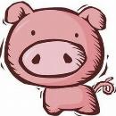 Berenice Ibarra Cruz