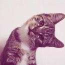 Alma Rosa Guerrero Herrera