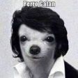 Pauliss C. Ibarra