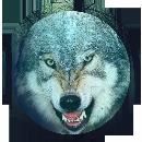 Miguel Angel Rodriguez