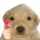 Alexis Adolfo Arriaga Barrios