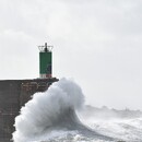 pilar Rodriguez Rivas