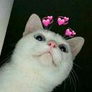 Flavia Violeta Loli Romero Pineda