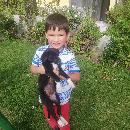 Bradley Echeverria