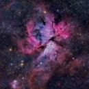 CONTRERAS ROMERO SHARON DAYANNE