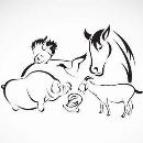 Carmen Vásconez Montúfar